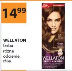 Drogerie Laboo Farba do włosów Wellaton oferta