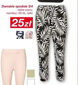 KiK Spodnie damskie oferta