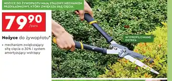 Biedronka Nożyce do żywołpłotu Gerlach oferta