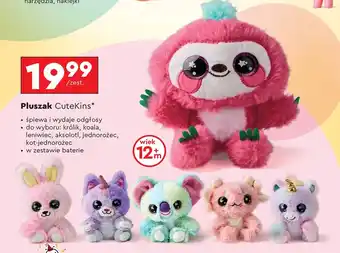Biedronka Maskotka Koala oferta