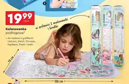 Biedronka Kolorowanka Princess oferta