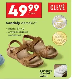 Biedronka Sandały damskie Cleve oferta