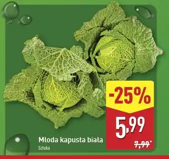 ALDI Kapusta biała młoda oferta