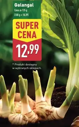 ALDI Galangal oferta