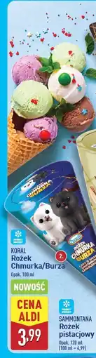 ALDI Rożek chmurka burza Koral oferta