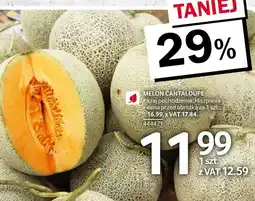 Selgros Melon cantaloupe 1 szt. Selgros oferta