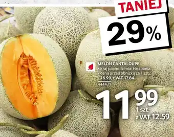 Selgros Melon cantaloupe 1 szt. Selgros oferta