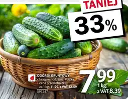 Selgros Ogórek gruntowy 1kg Selgros oferta