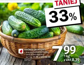 Selgros Ogórek gruntowy 1kg Selgros oferta