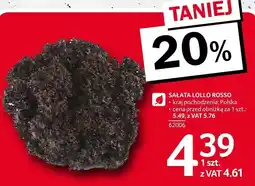 Selgros Sałata lollo rosso 1 szt. Selgros oferta