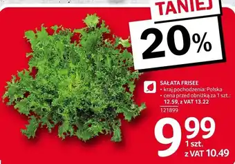 Selgros Sałata frisee 1 szt. Selgros oferta