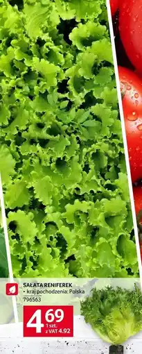 Selgros Sałata reniferek Selgros oferta