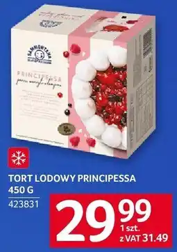 Selgros Tort lodowy Principessa 450 g Selgros oferta