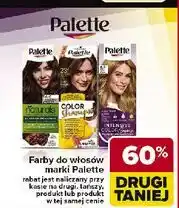 Carrefour Farba do włosów 8-0 Palette Intensive Color Creme oferta