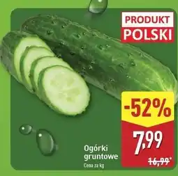 ALDI Ogórek gruntowy oferta