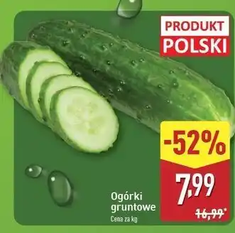 ALDI Ogórek gruntowy oferta