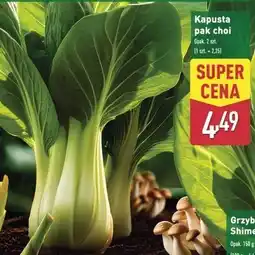ALDI Kapusta pak choi oferta