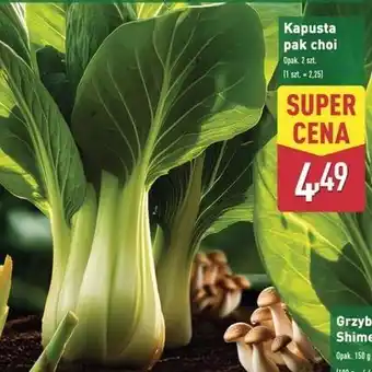 ALDI Kapusta pak choi oferta