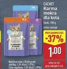 ALDI Karma dla kota cielęcina w sosie Cachet oferta