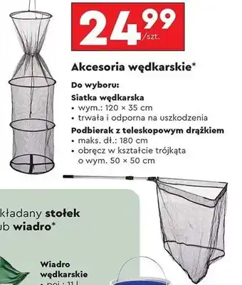 Biedronka Akcesoria wędkarskie oferta