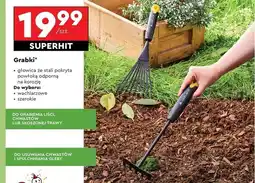 Biedronka Grabki oferta