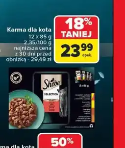 Carrefour Karma dla kota Sheba oferta
