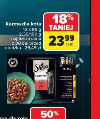 Carrefour Karma dla kota Sheba oferta
