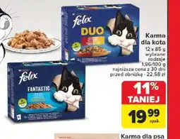 Carrefour Karma dla kota Felix oferta