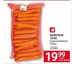 Selgros MARCHEW 10 KG oferta