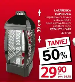 Selgros Latarenka Kapliczka oferta