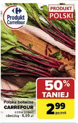Carrefour Botwinka polska Carrefour oferta