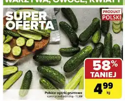 Carrefour Ogórek gruntowy polska oferta