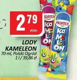 Chorten Lody Kameleon 70ml Polski Ogród oferta