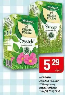 Chorten Herbata Zielnik Polski 20x1.5g Herbapol oferta