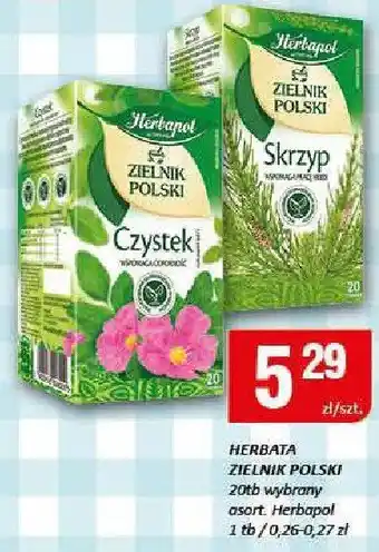 Chorten Herbata Zielnik Polski 20x1.5g Herbapol oferta