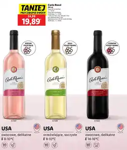 Lidl Wino Carlo Rossi Red oferta