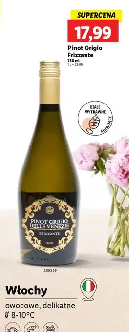 Lidl Wino Delle Venezie Pinot Grigio oferta