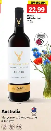 Lidl Wino wytrawne shiraz Wilhelm Holt oferta