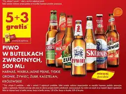 Biedronka Piwo Królewskie 1846 oferta