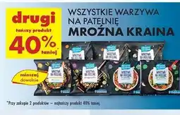 Biedronka Warzywa na patelnię letnie Mroźna Kraina oferta