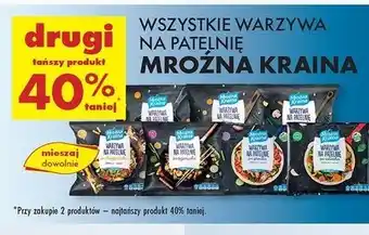 Biedronka Warzywa na patelnię letnie Mroźna Kraina oferta