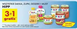 Biedronka Zupka pomidorowa z kluseczkami Hipp oferta