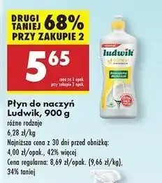 Biedronka Płyn do naczyń cytrynowy Ludwik oferta