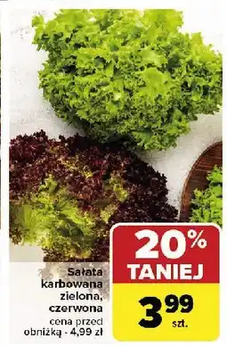 Carrefour Market Sałata czerwona oferta