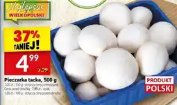Twój Market Pieczarka tacka 500g Twój Market oferta