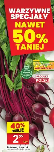 Twój Market Botwinka 1 pęczek Twój Market oferta