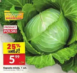 Twój Market Kapusta młoda 1 szt. Twój Market oferta