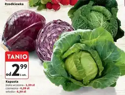 Dino Kapusta włoska 1 KG oferta