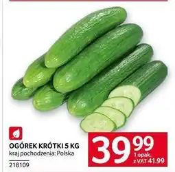 Selgros OGÓREK KRÓTKI 5 KG oferta
