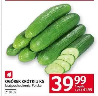 Selgros OGÓREK KRÓTKI 5 KG oferta